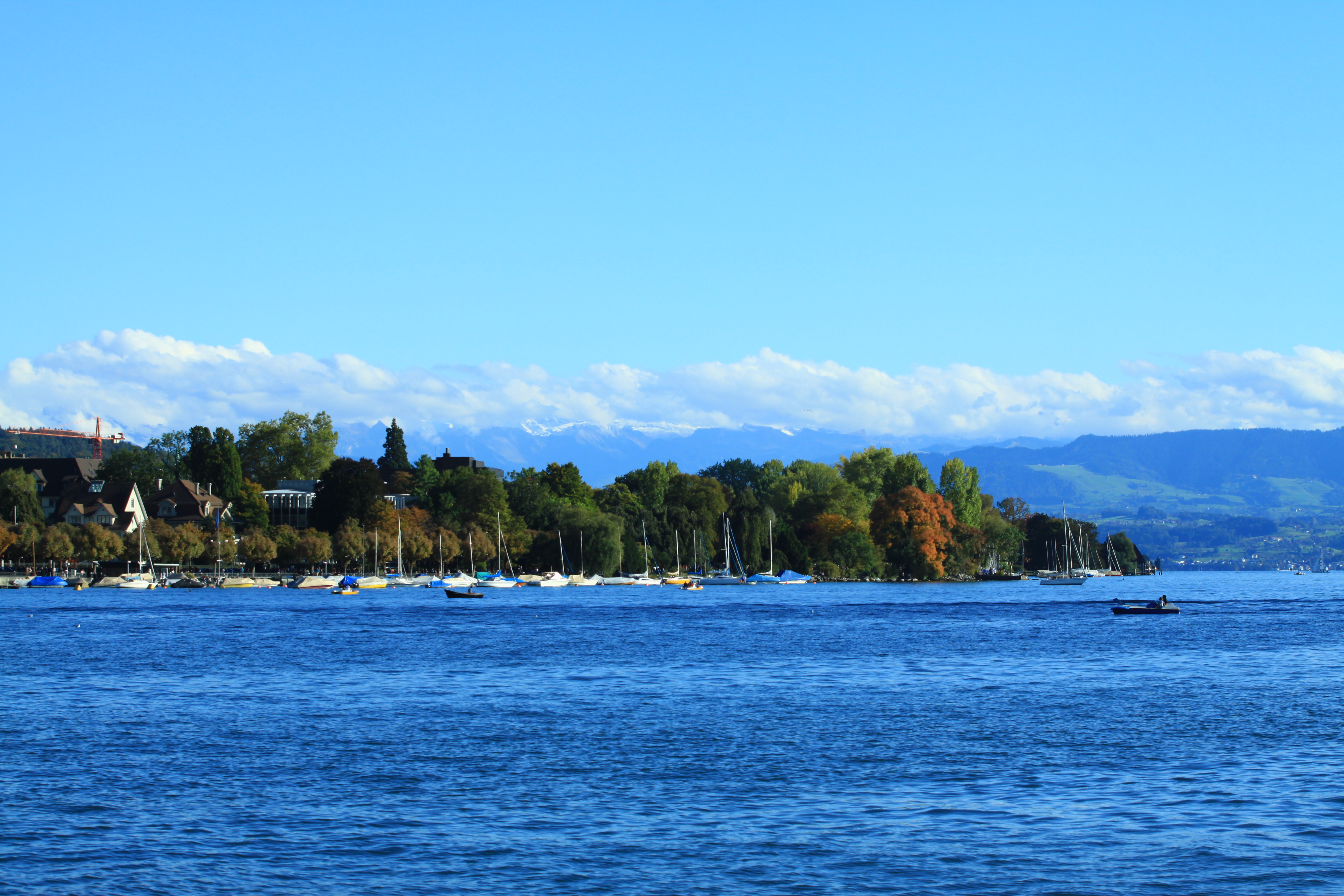 View of the Zurichsee lake from the shore