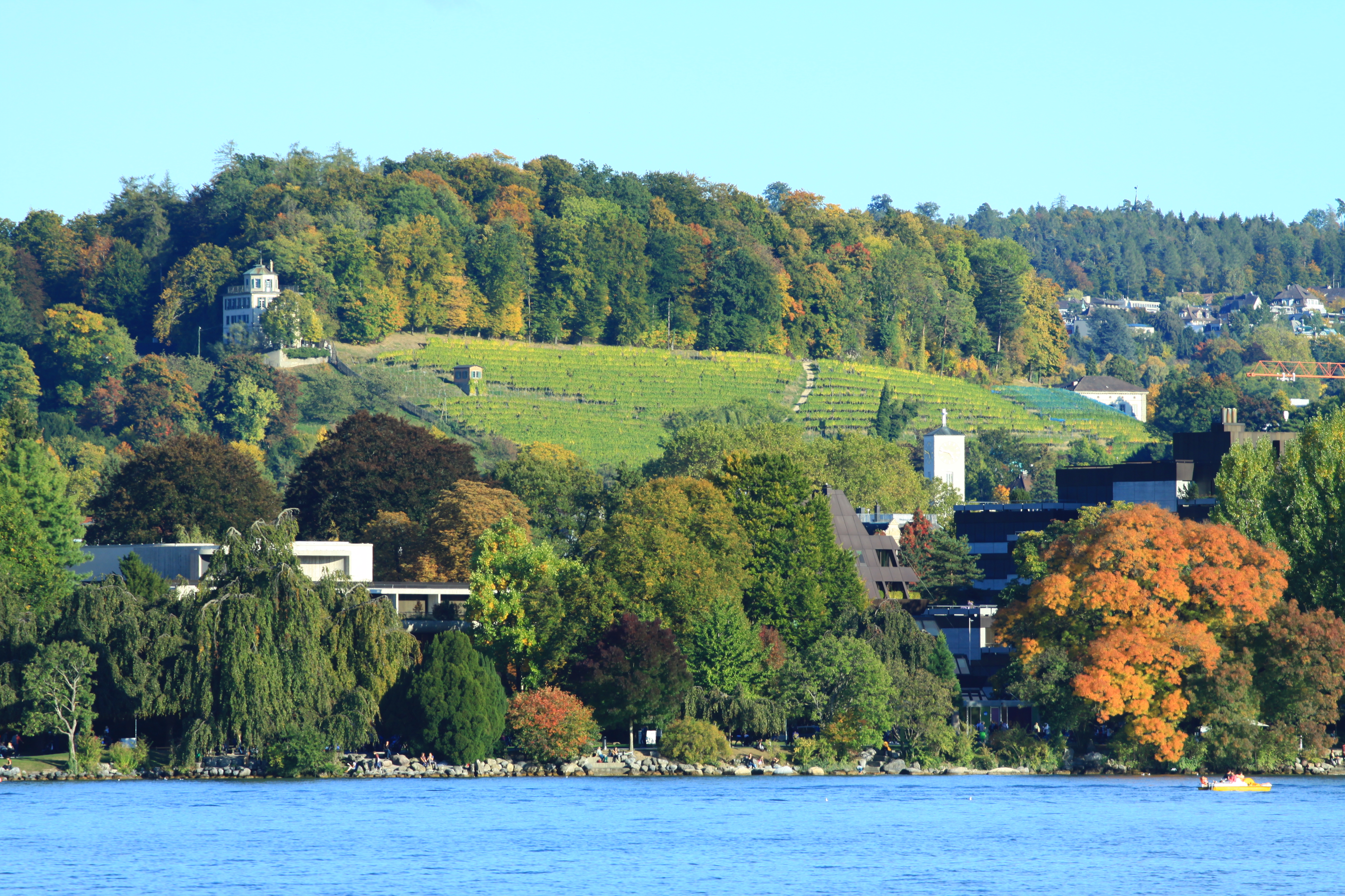 Hill behind Zurichsee